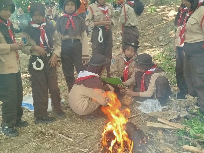 SURVIVAL